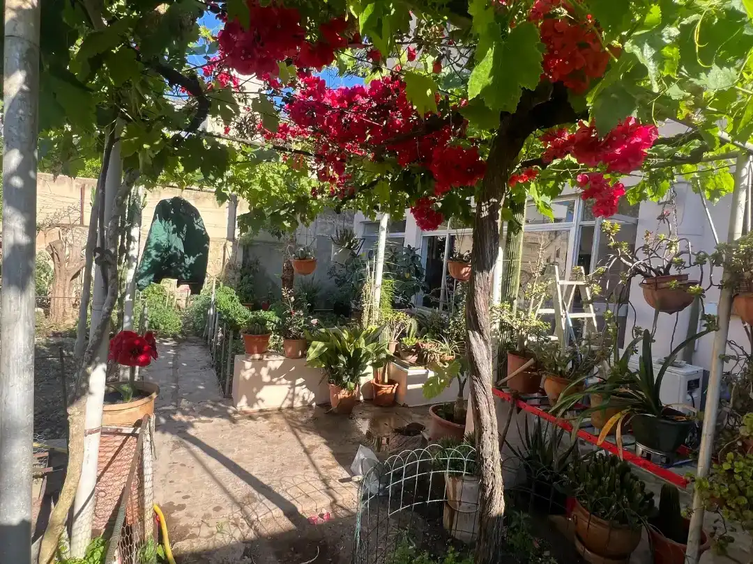 Jardín de Planta baja en venta en  Palma de Mallorca con Aire acondicionado