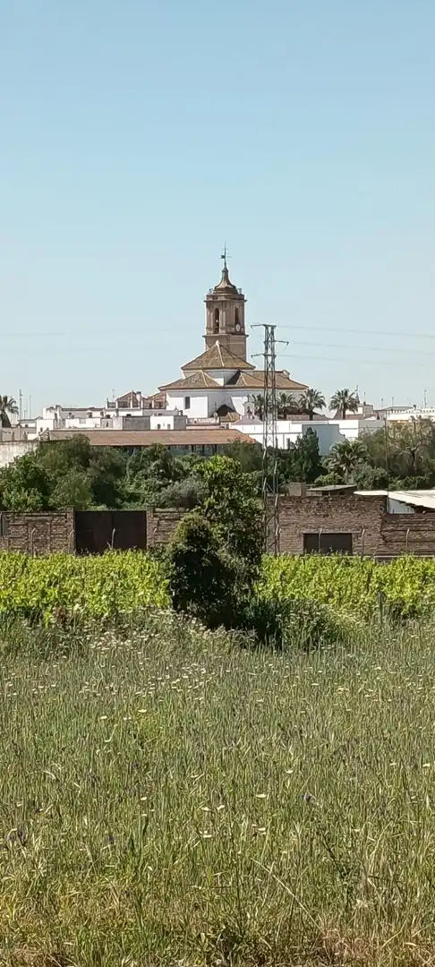 Terreny residencial en venda a Villamanrique de la Condesa, imagen 2