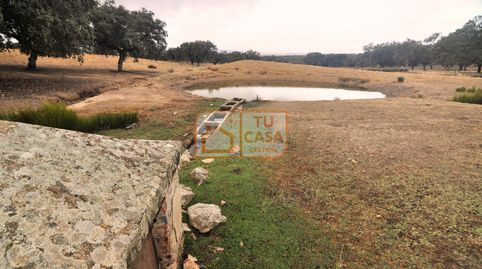 Venta de magnífica finca rústica de 180 hectáreas en Deleitosa, (Cáceres)., immagine 3