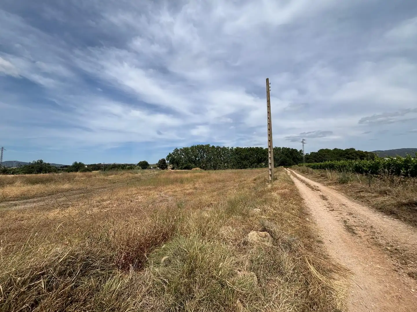 Terreny rústic en venda a Banyeres del Penedès, imagen 6
