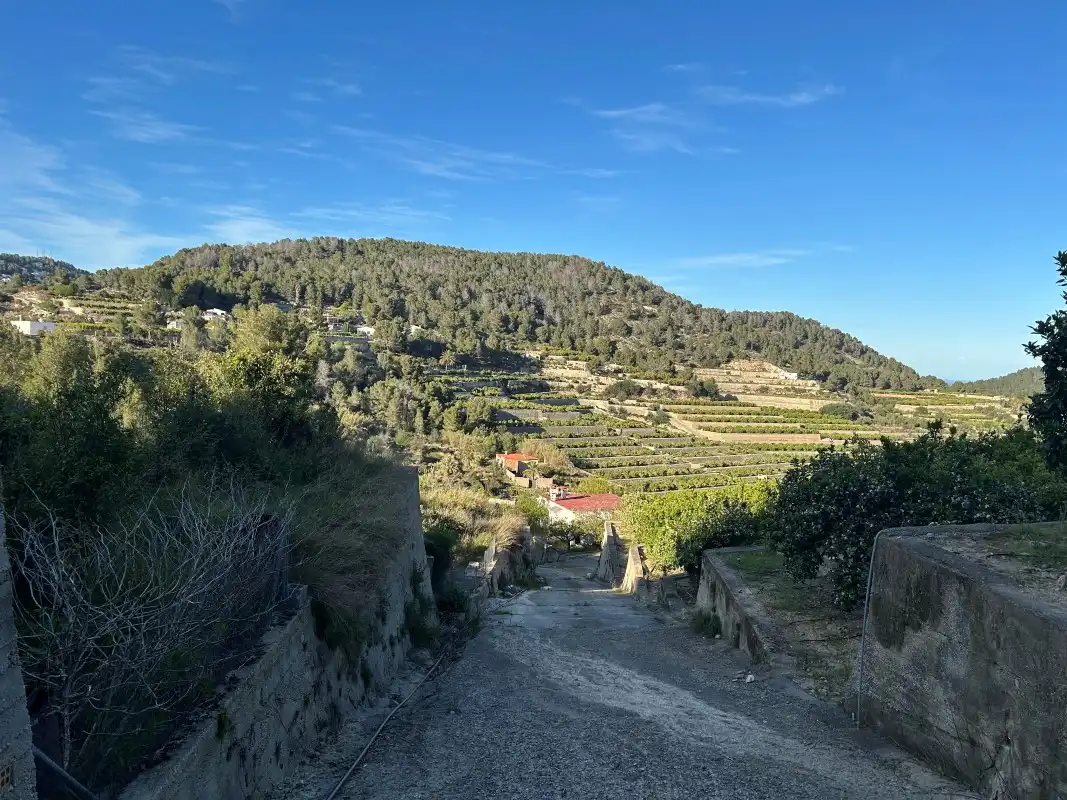 Vista exterior de Finca rústica en venda en Oliva amb Moblat