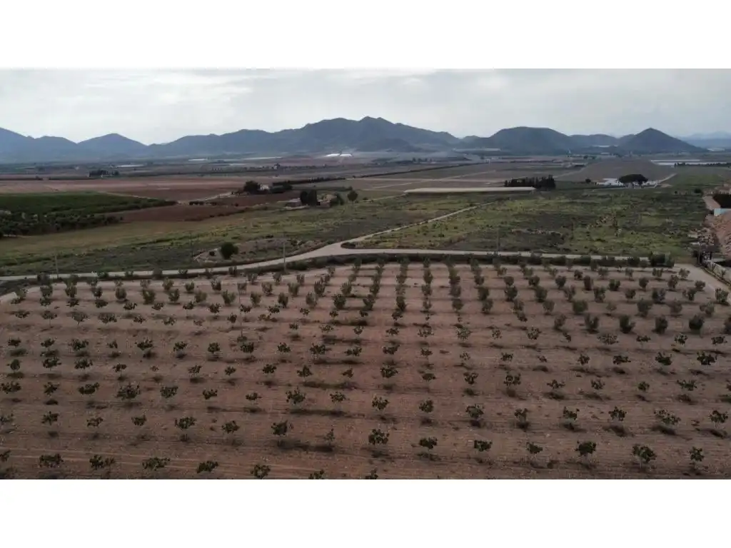 Finca rústica en venda a Escucha