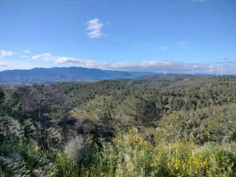 Residential for sale in Bot