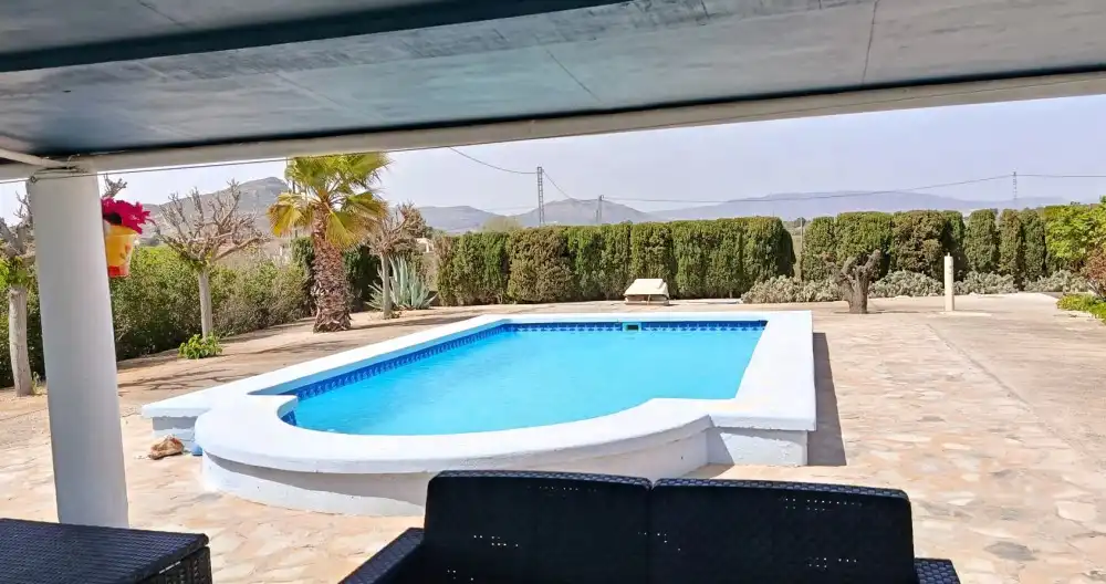 Swimming pool of Flat for sale in Villena