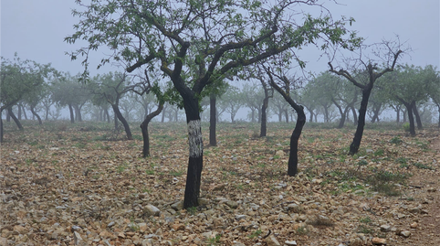 Foto 3 de Residencial en venda a Proc. Simplificado, Altura, Castellón