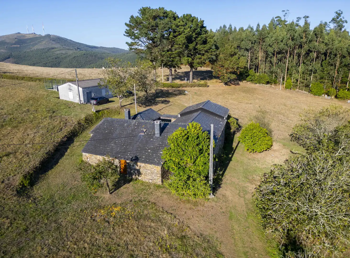 Vista exterior de Finca rústica en venta en San Tirso de Abres con Amueblado