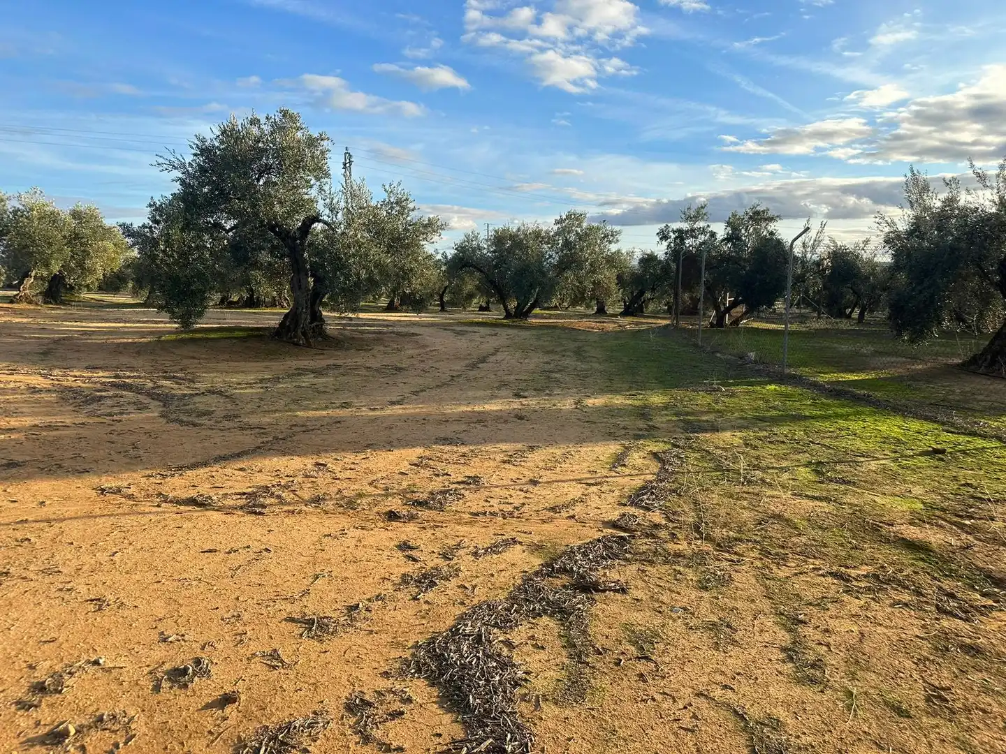 Grundstücke zum Verkauf in Andújar