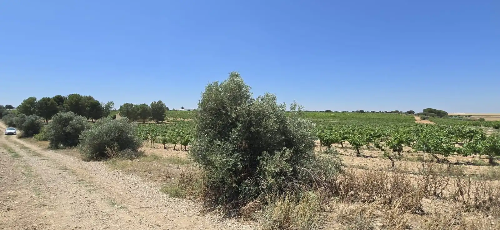 Casa rústica en venda a Villarrobledo, imagen 48