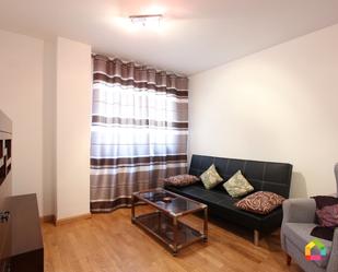 Living room of Flat to rent in  Toledo Capital  with Air Conditioner, Storage room and Furnished