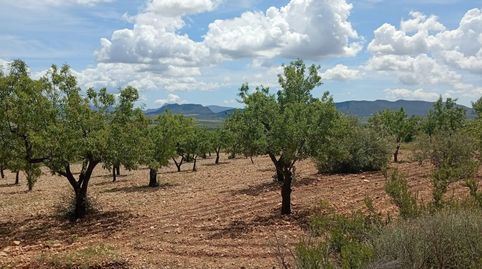 Foto 5 de Casa o xalet en venda a N/a, -1, Salinas, Alicante