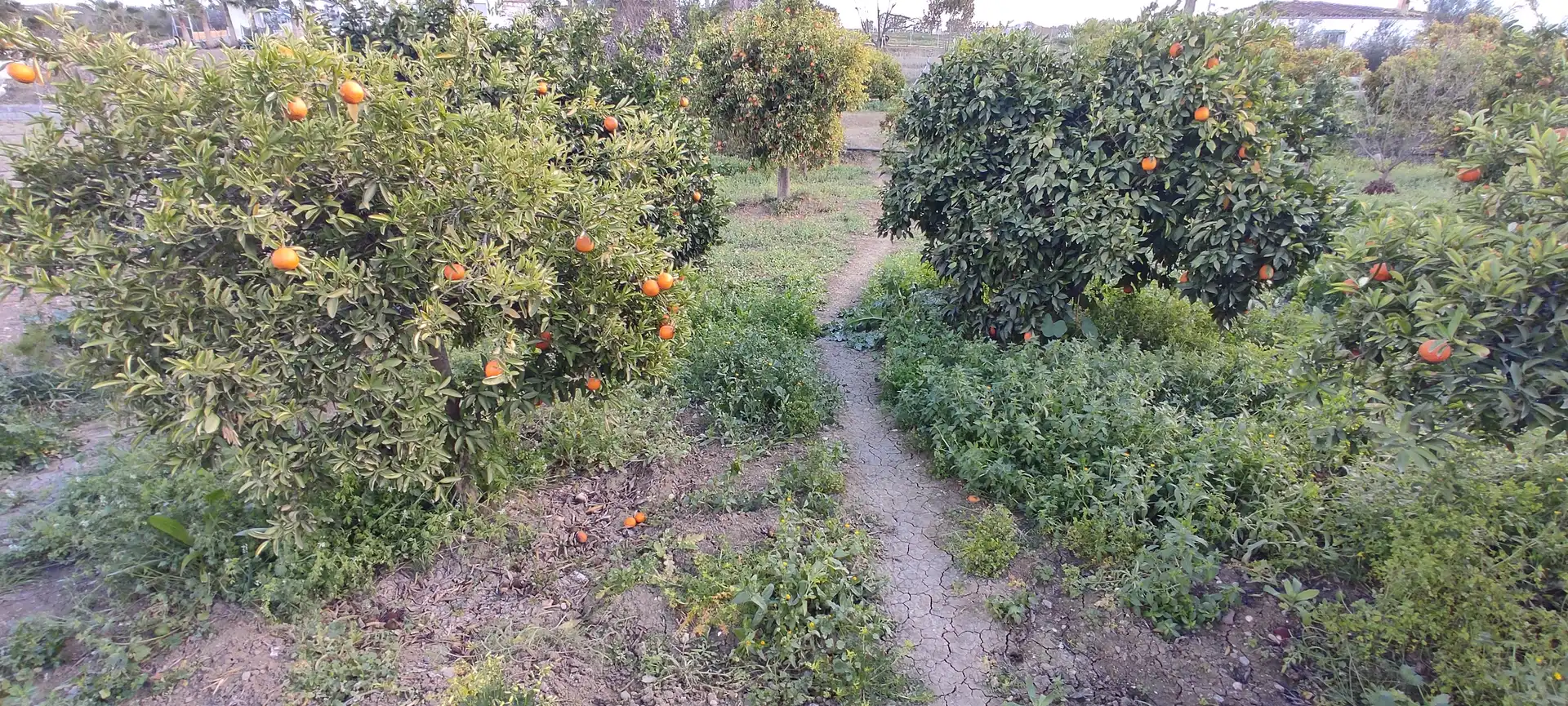 Finca rústica en venda en Coín amb Jardí privat, Terrassa i Piscina