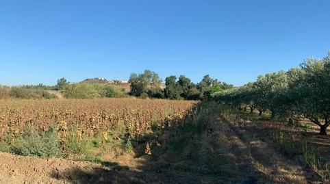 Photo 4 of House or chalet for sale in Calle Tena, 2, Medellín, Badajoz