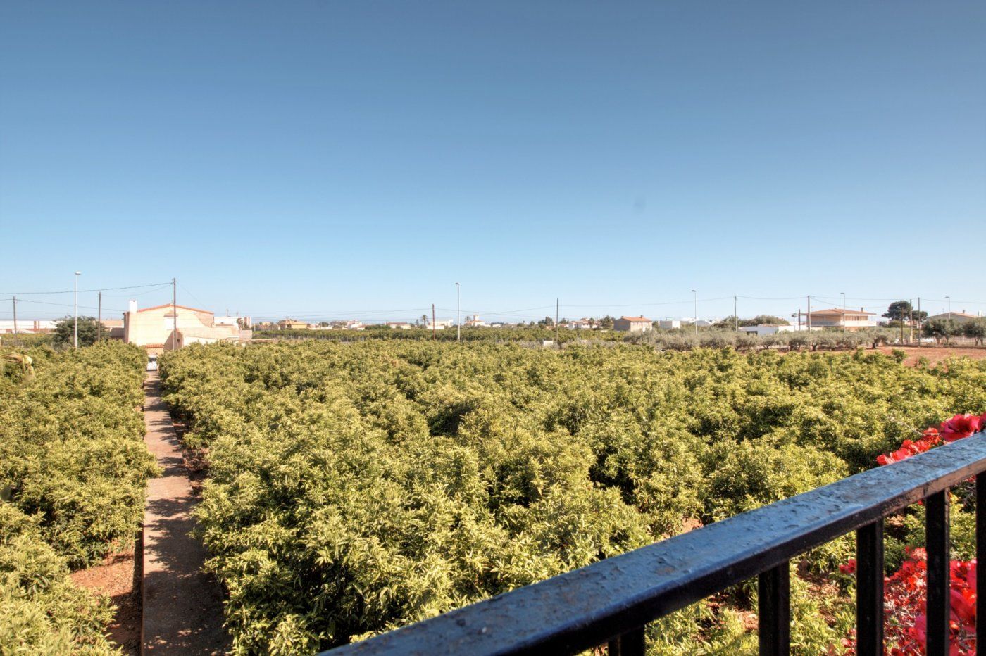 Exterior view of Country house for sale in Castellón de la Plana / Castelló de la Plana  with Private garden, Terrace and Storage room