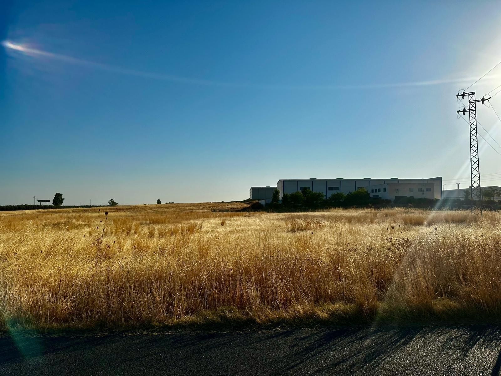 Industrial land for sale in La Carlota