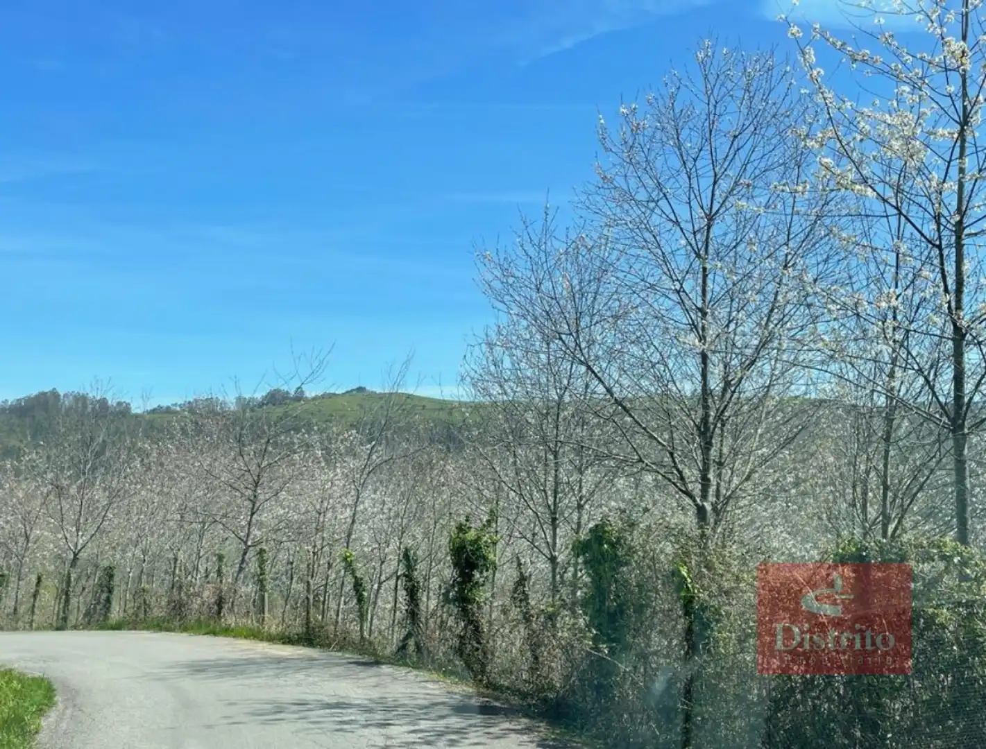 Terreni e lotti in vendita a Valdáliga - barrio la herrería, imagen 13
