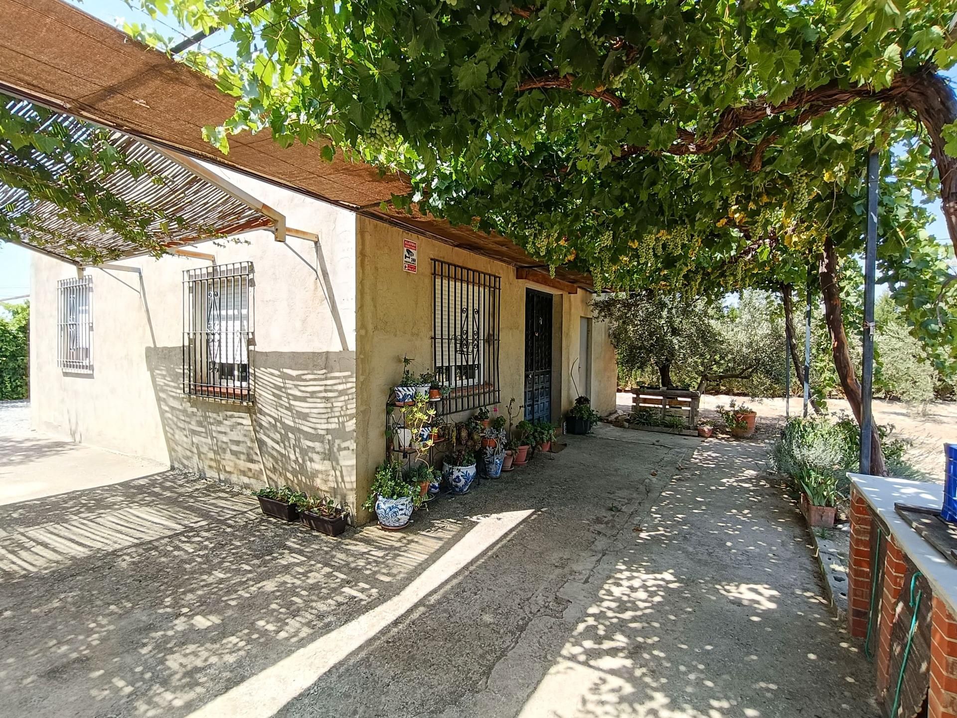 Vista exterior de Finca rústica en venta en Santa Fe