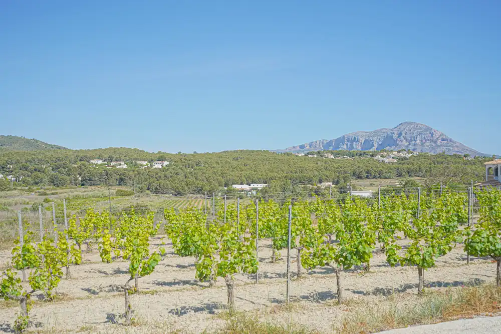 Vista exterior de Casa o xalet en venda en Jávea / Xàbia amb Terrassa i Piscina