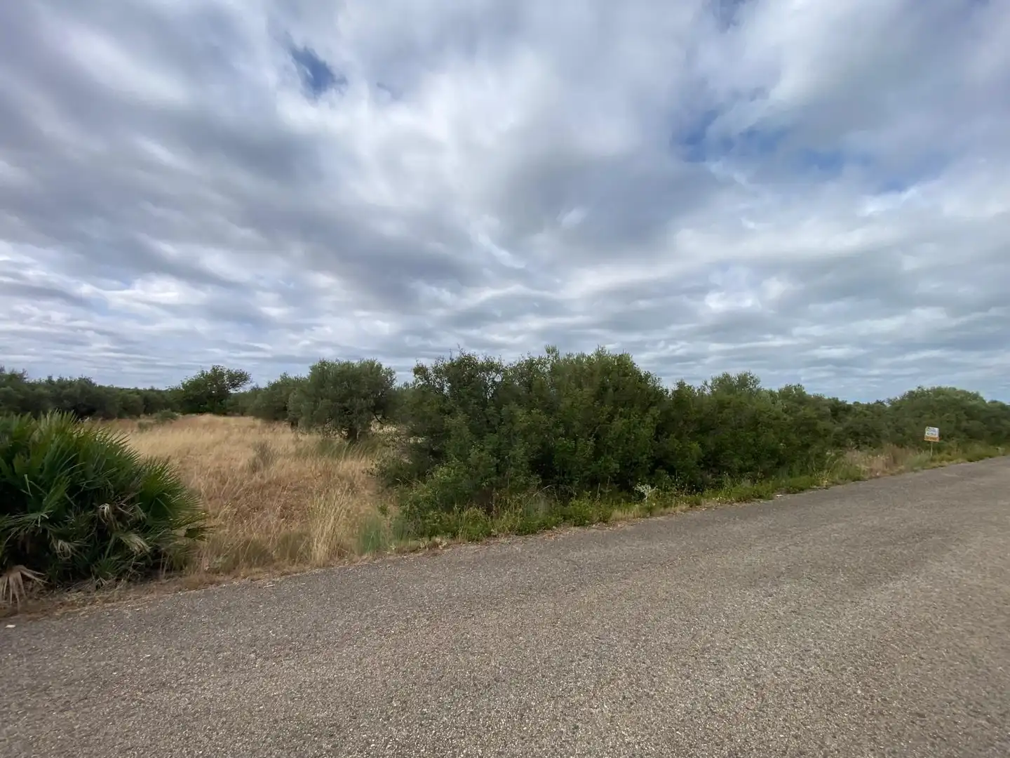 Finca rústica en venta en Bolbaite