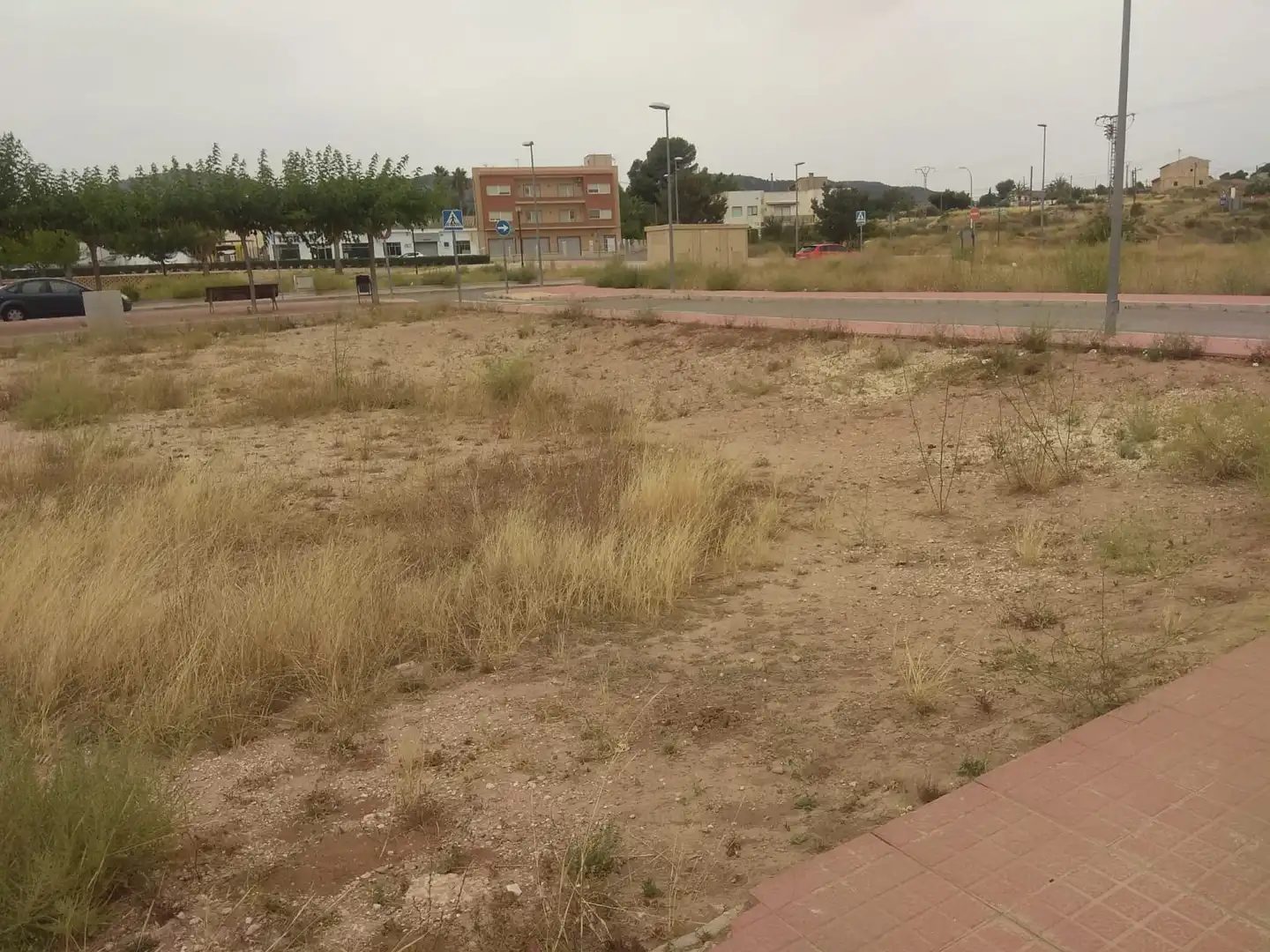 Terreny rústic en venda a CL EL CAMPELLO