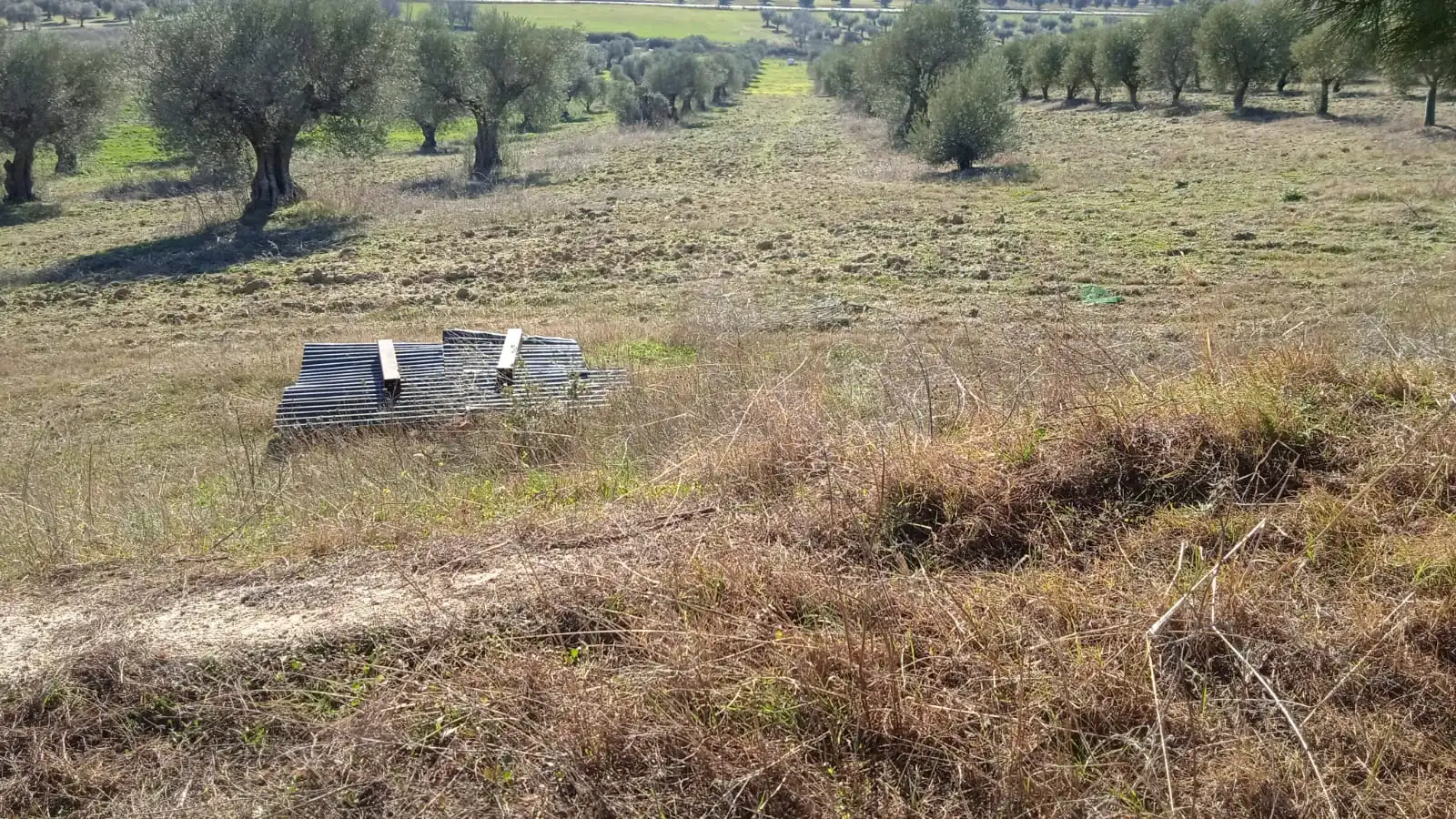 Terreno en venta en Illán de Vacas