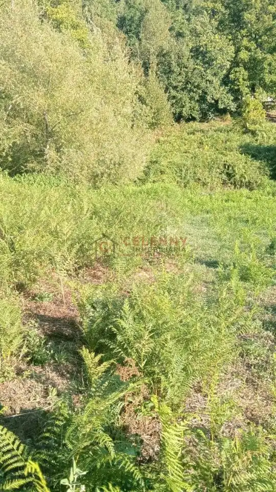 Country house with garden for sale in San Rosendo, imagen 9