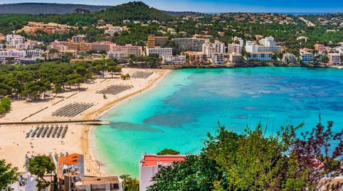 Photo 4 of Premises for sale in Costa de la Calma, Calvià