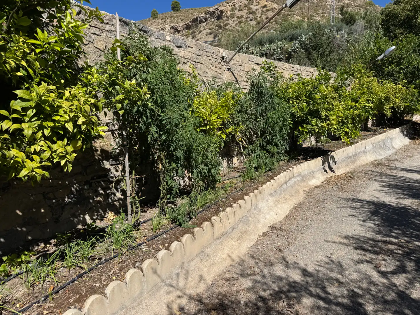 Villa con terrazza in vendita a Carretera de Murcia 13, imagen 67