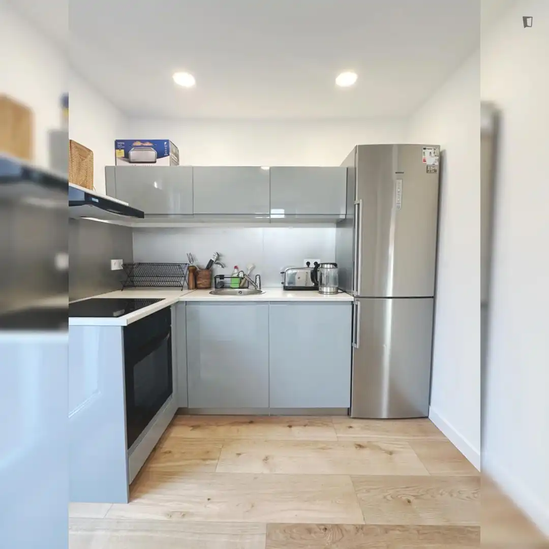 Kitchen of Apartments for rent in L'Hospitalet de Llobregat  with Furnished, Oven and Washing machine