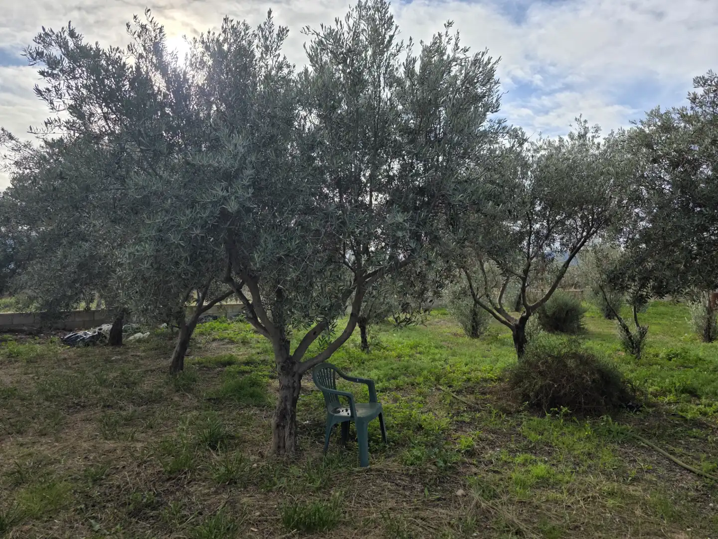 Terreno en venta en Alicante / Alacant