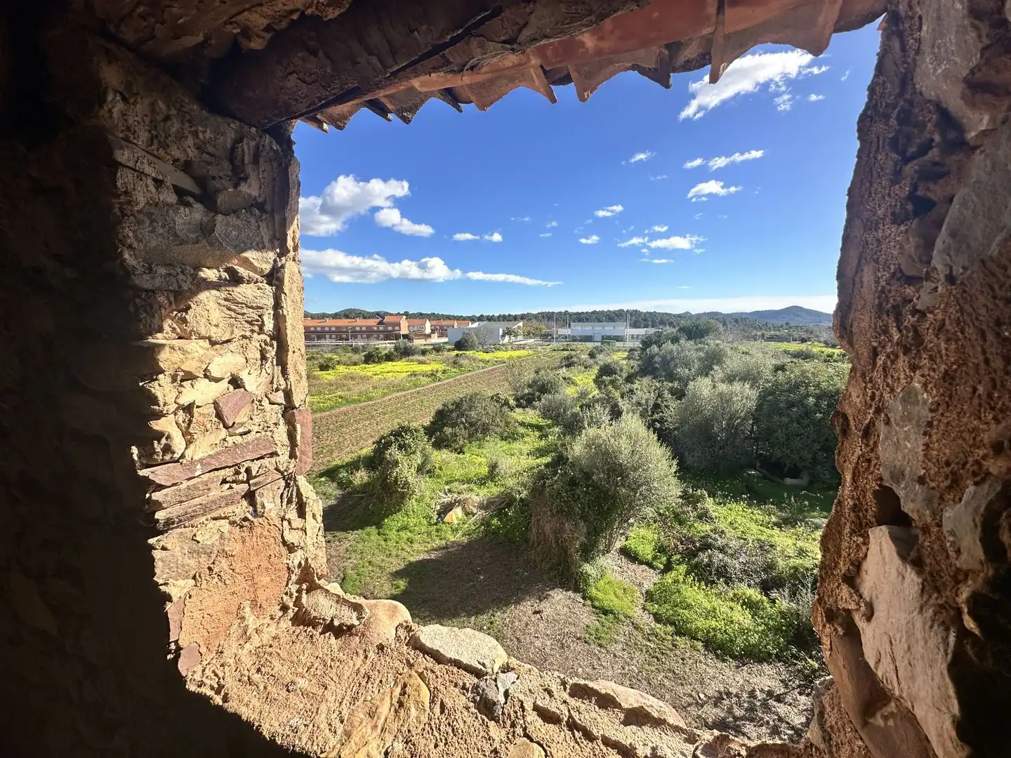 Casa in vendita a Alfara de la Baronia, imagen 14