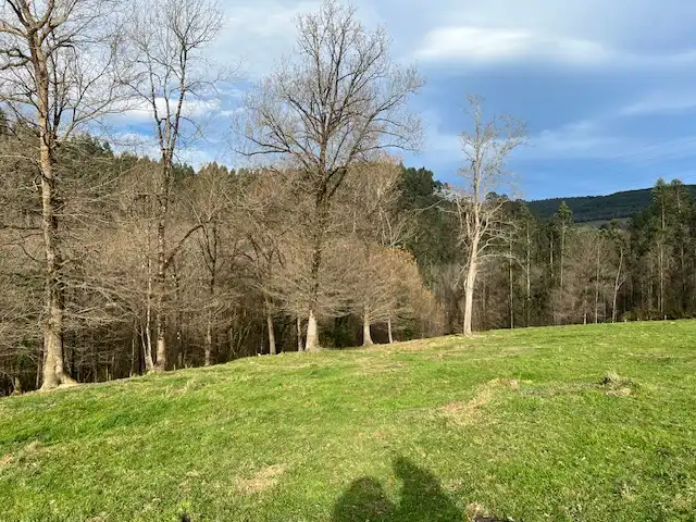 Land for sale in Lezama