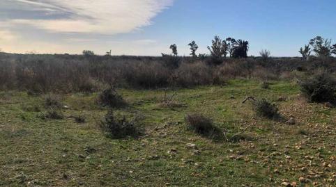 Photo 5 of Residential for sale in Las Partidas el Prado y Meloneres, Torreblanca, Castellón