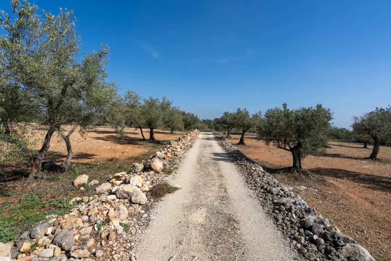 Terrain rustique à vendre à Camí Del Filato 1093, imagen 16
