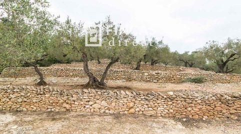 Foto 5 de Finca rústica en venda a Rjr9+52, Bítem, Tortosa