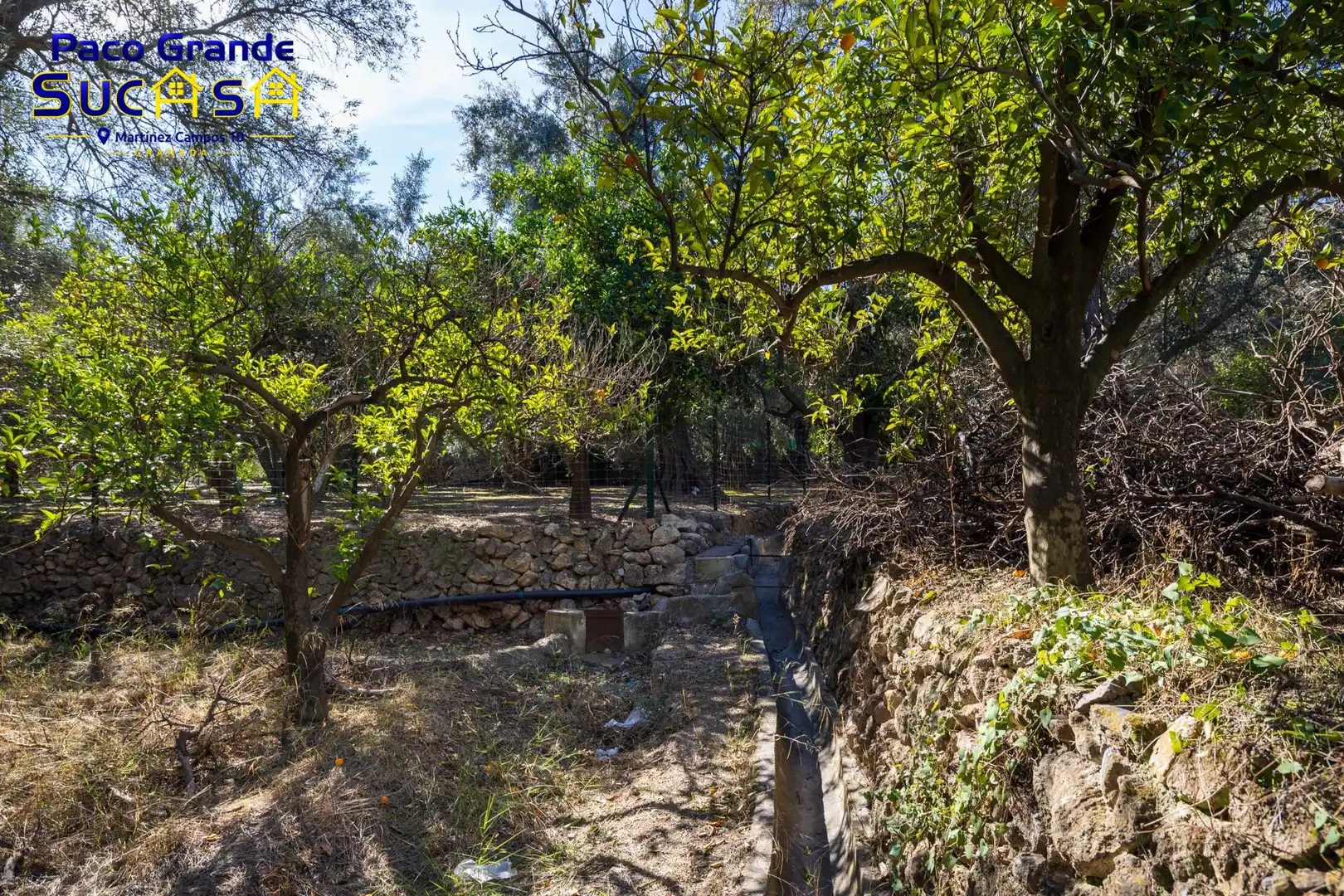 Terreno rustico in vendita a PINOS DEL VALLE, imagen 10