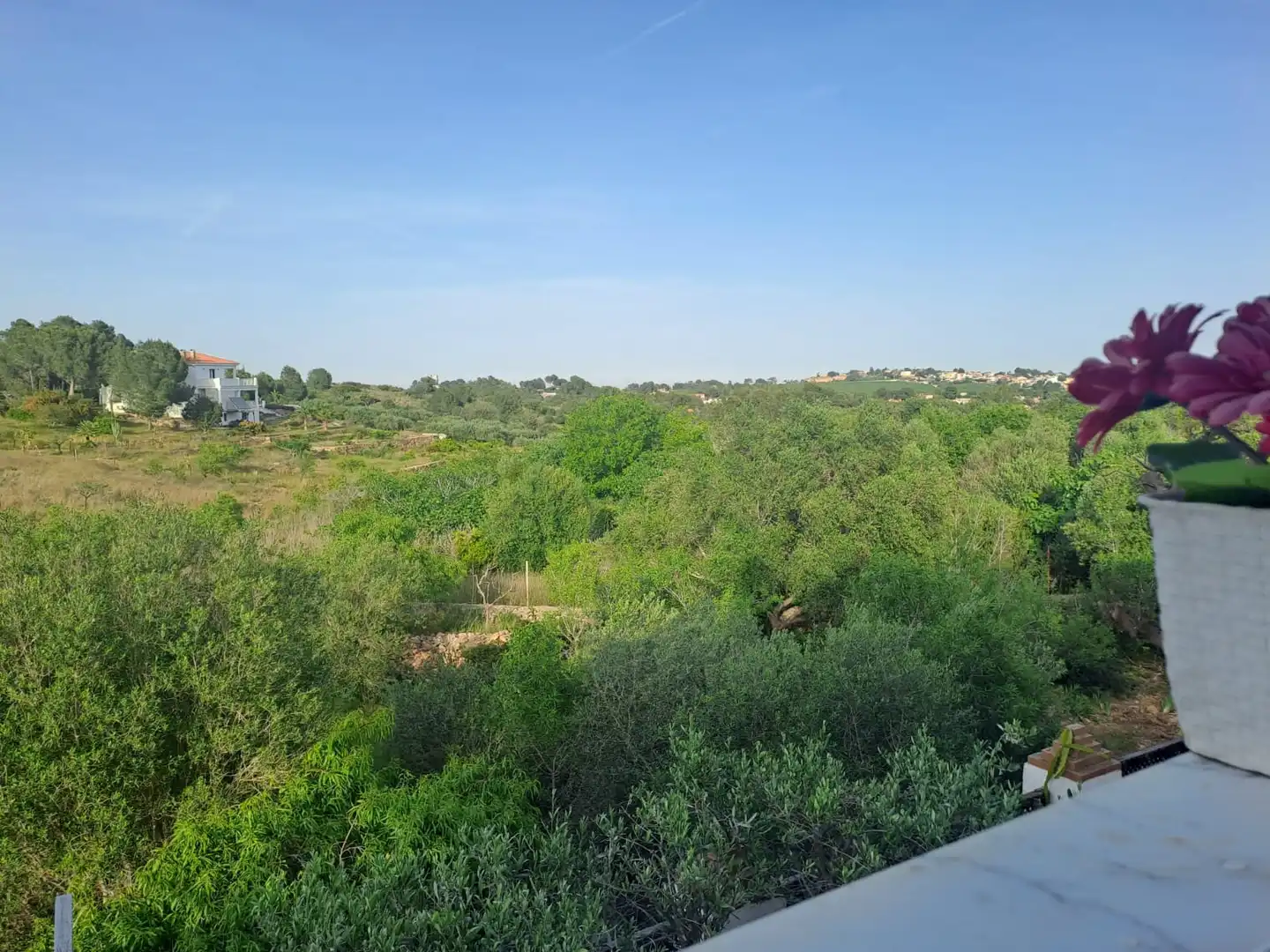 Casa o chalet en venta en Montserrat con Aire acondicionado, Calefacción y Jardín privado