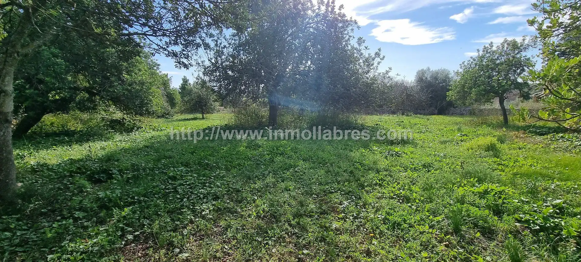 Country house for sale in Sencelles, imagen 5