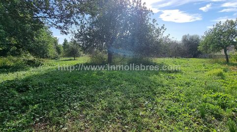 Foto 5 de Finca rústica en venta en Sencelles, Illes Balears