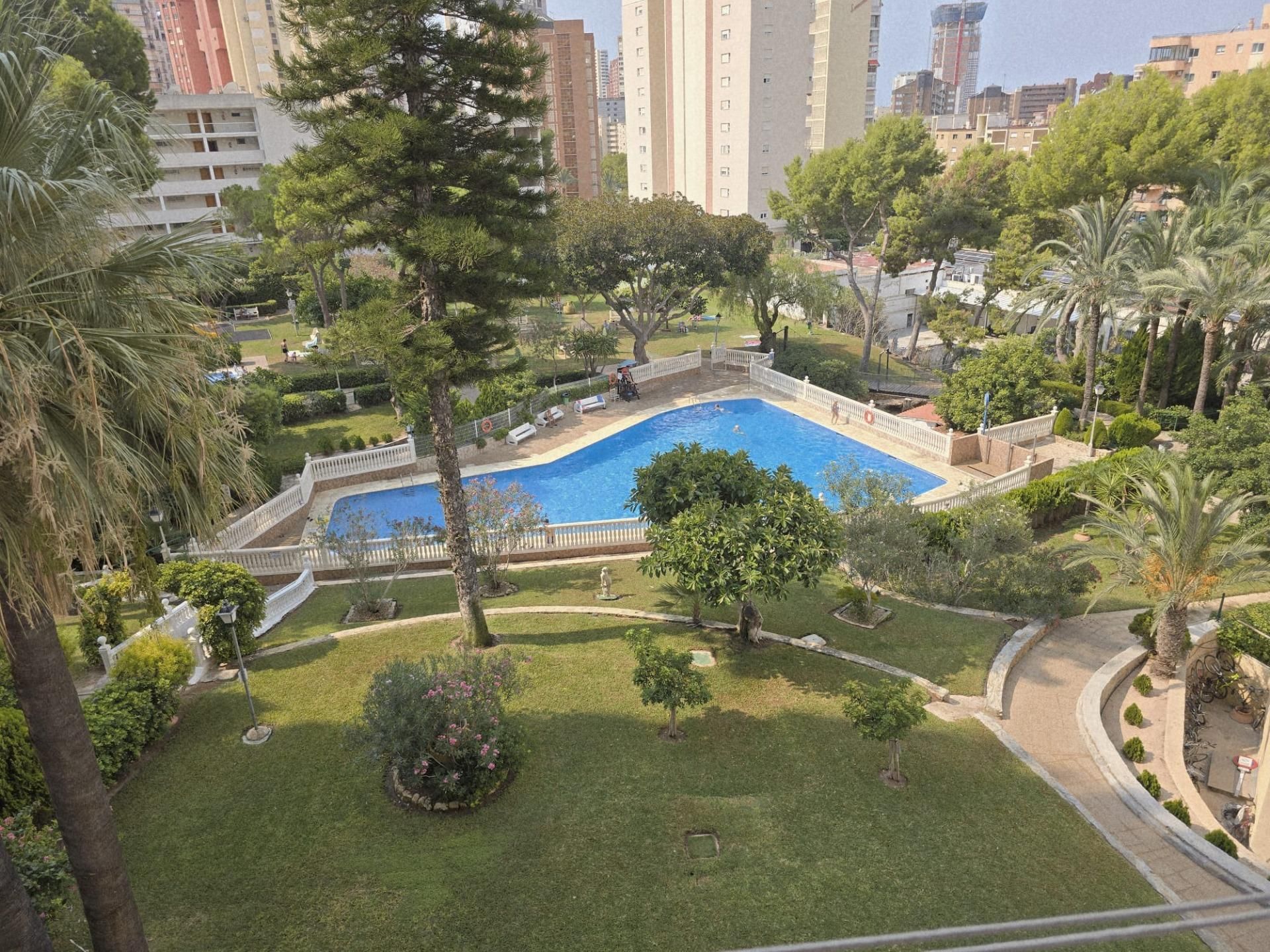 Swimming pool of Apartment to rent in Benidorm  with Private garden, Terrace and Community pool