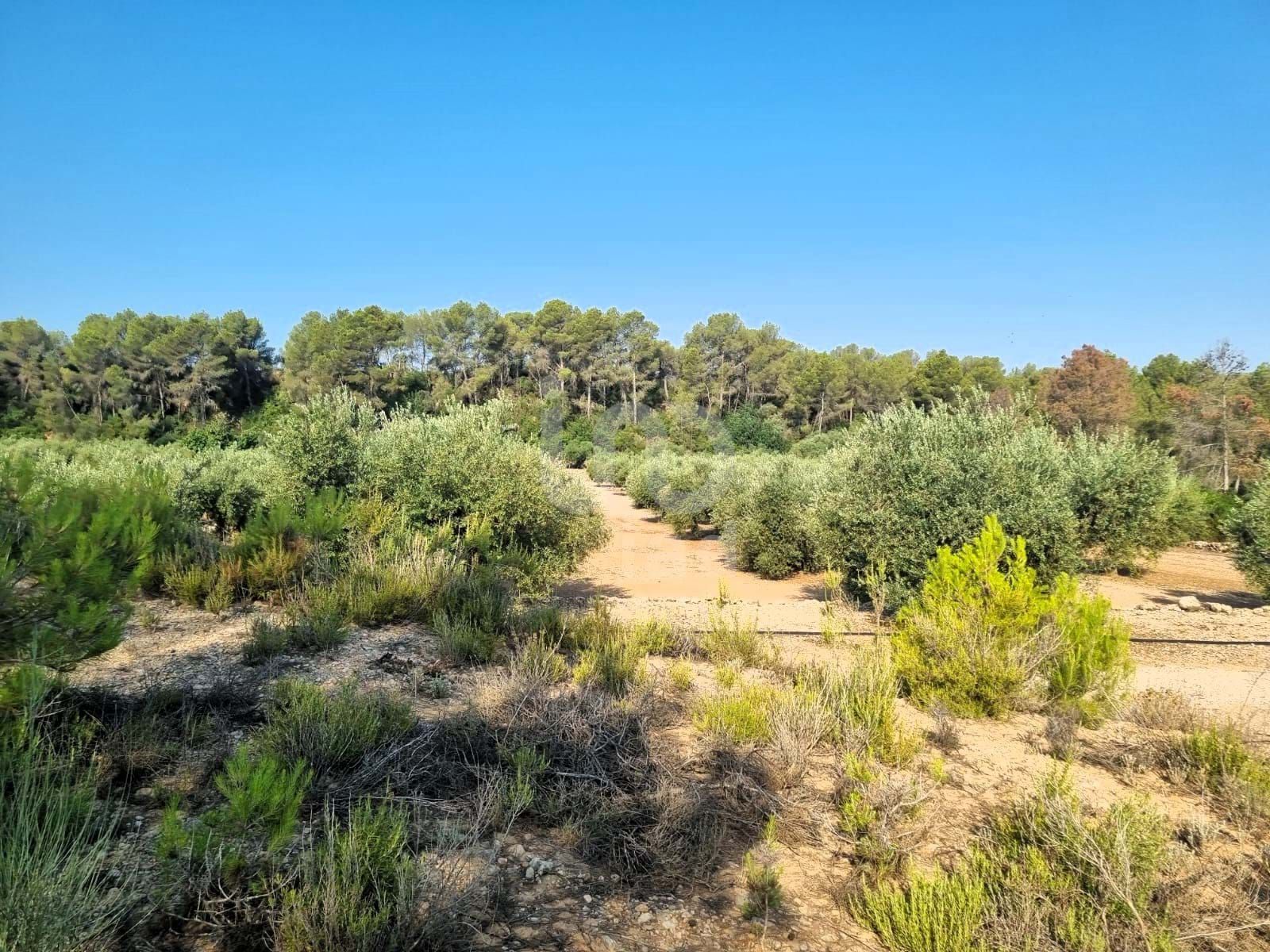 Residencial en venda en Rasquera