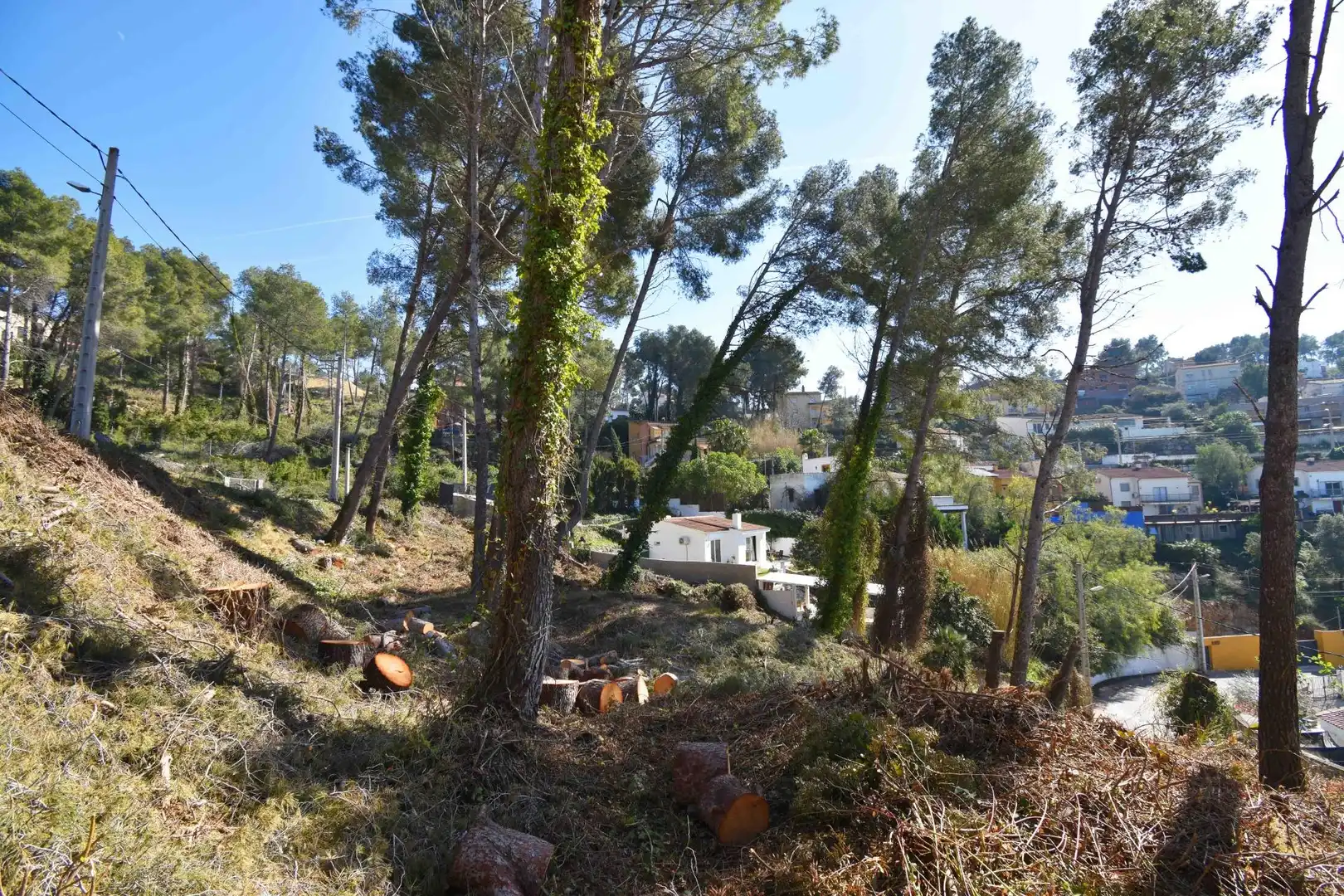 Residential land for sale in Olivella, imagen 10