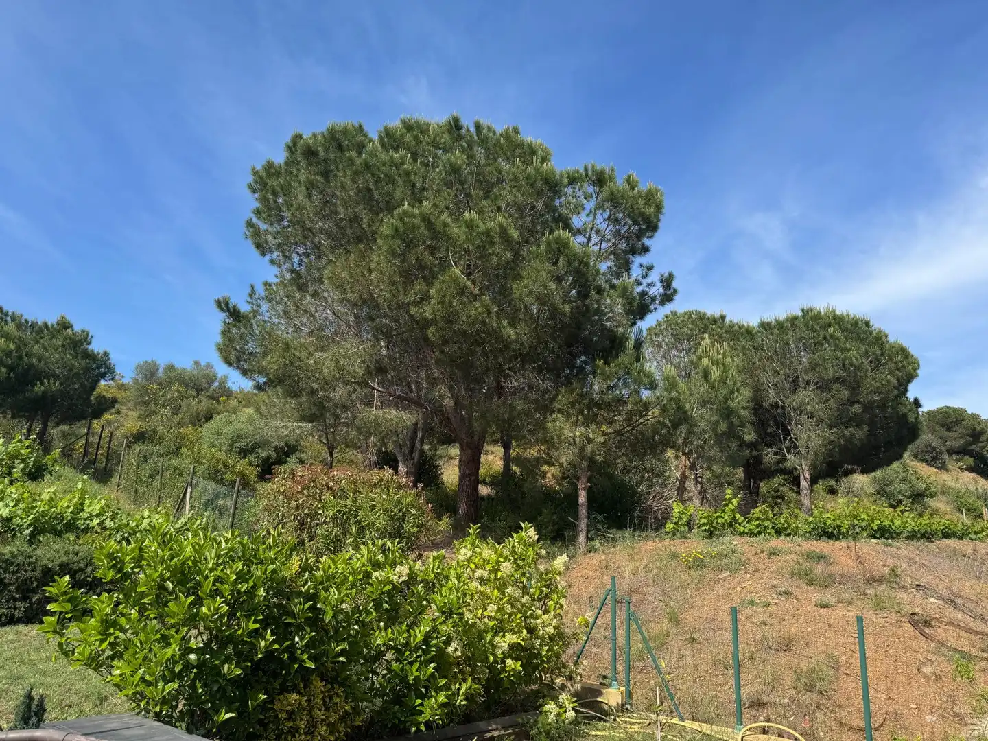 Casa o xalet en venda en Llançà amb Aire condicionat, Calefacció i Jardí privat