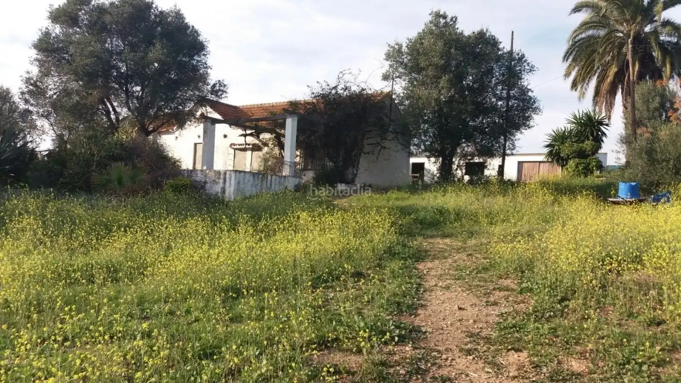 Terreni e lotti in vendita a Calle Rebujina 28, imagen 3