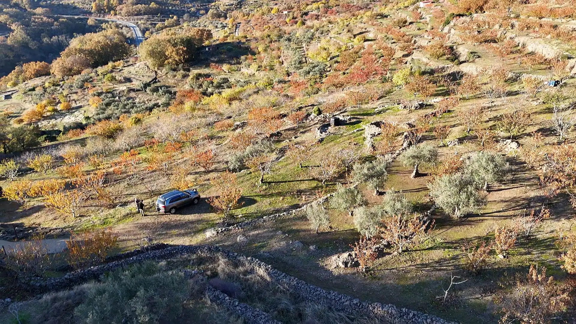 Land for sale in Arroyomolinos de la Vera
