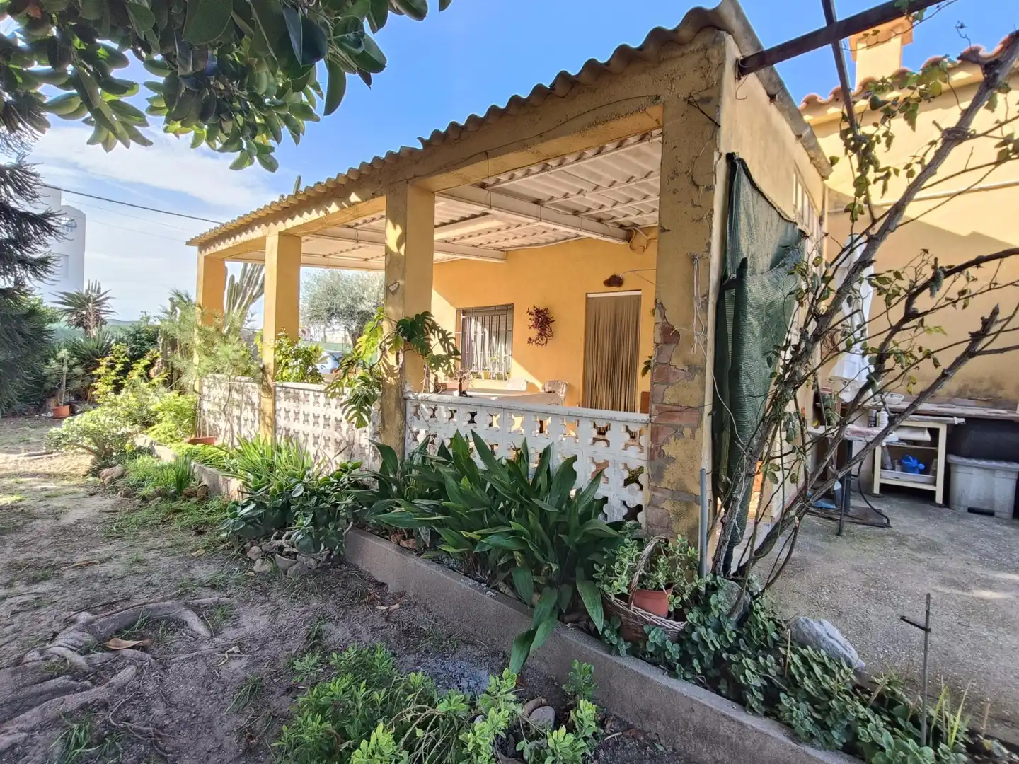 Haus zum Verkauf in Playa - Ben Afeli, imagen 12