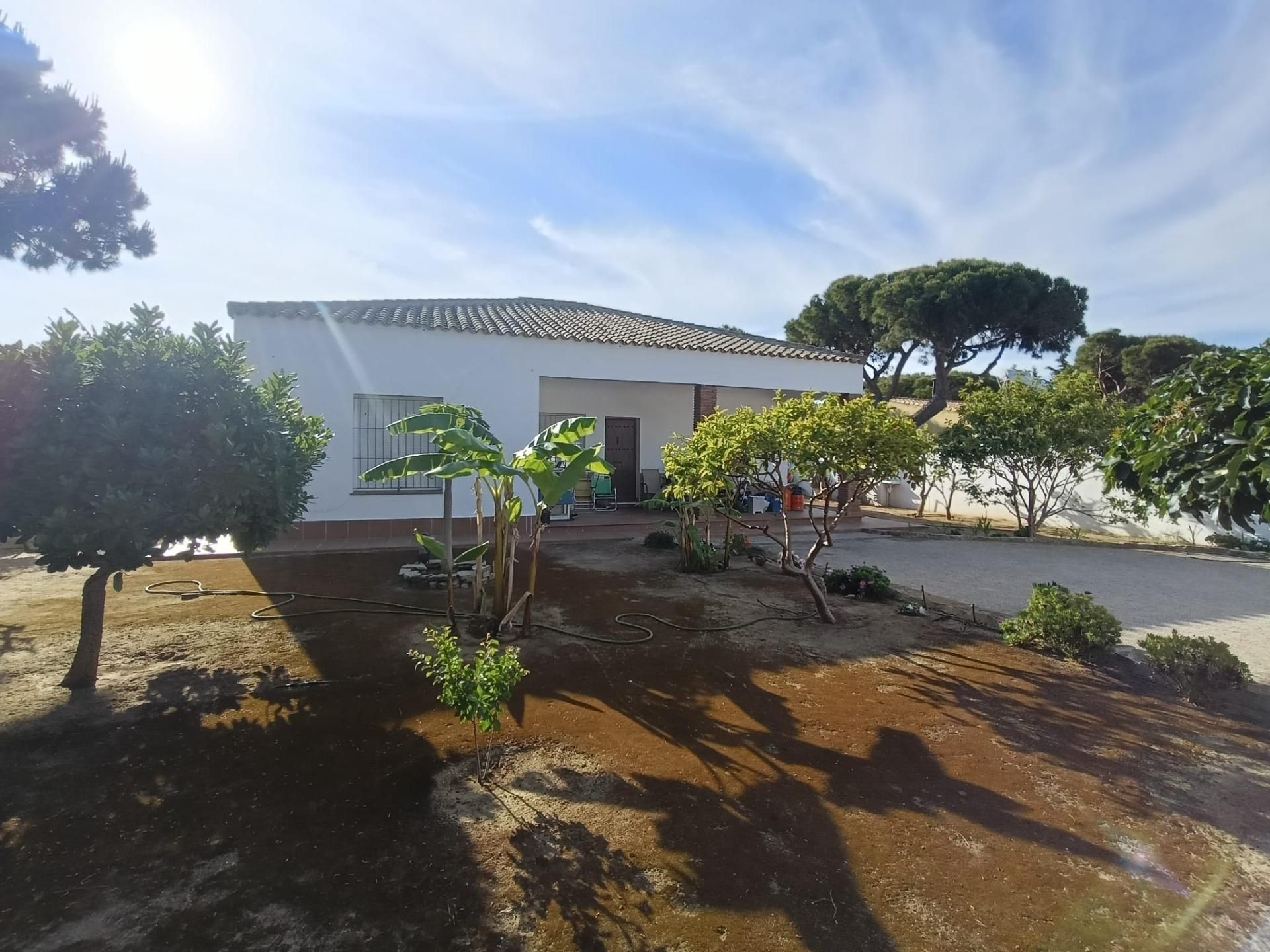 Jardí de Casa o xalet en venda en Chiclana de la Frontera amb Jardí privat
