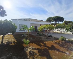 Jardí de Casa o xalet en venda en Chiclana de la Frontera amb Jardí privat