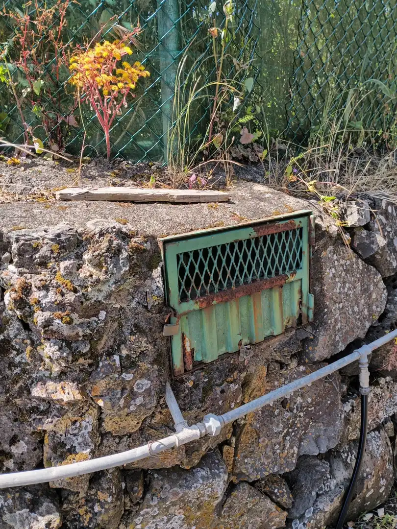 Vista exterior de Finca rústica en venta en Garachico