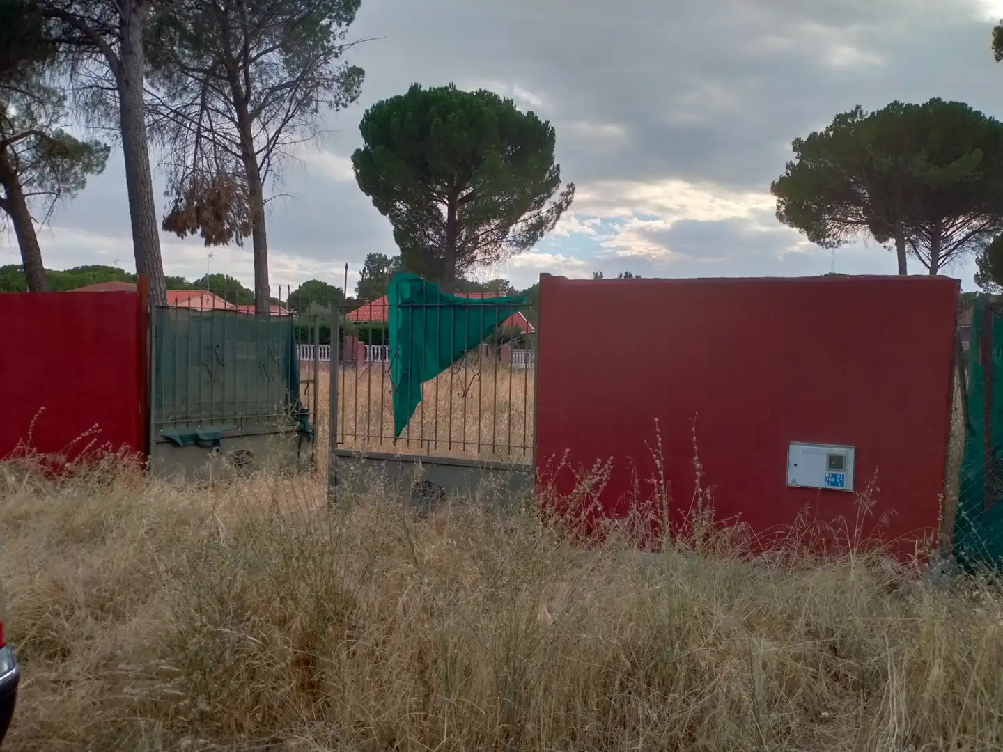 Terreny rústic en venda a Pago de los Carrizales, imagen 2