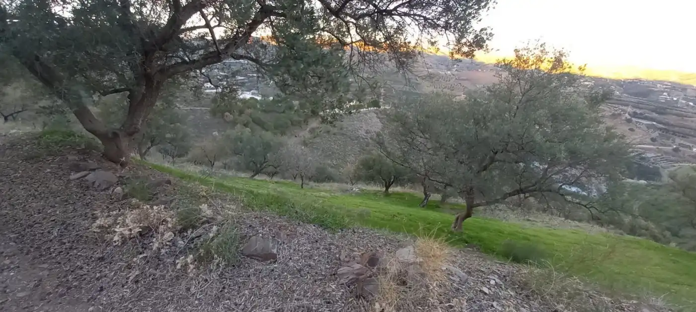 Terreni e lotti in vendita a Benajarafe, imagen 6